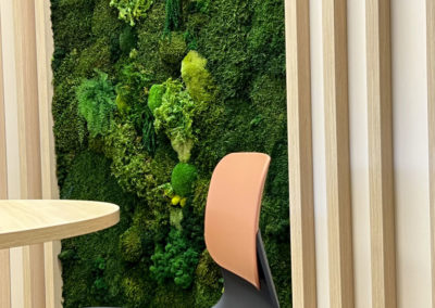Mur végétalisé et chaise ergonomique bicolore